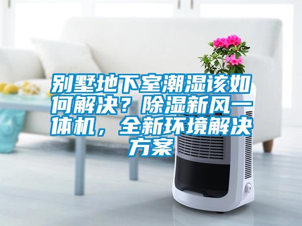 別墅地下室潮濕該如何解決？91看片在线下载新風一體機，全新環境解決免费看片下载
