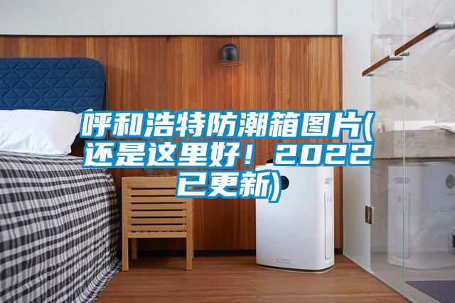 呼和浩特防潮箱圖片(還是這裏好！2022已更新)