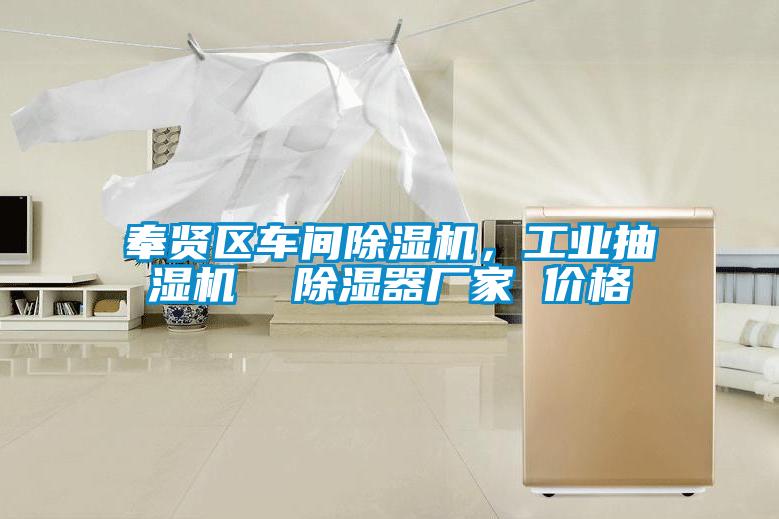 奉賢區車間91看片在线下载機，工業抽濕機  91看片在线下载器廠家 價格