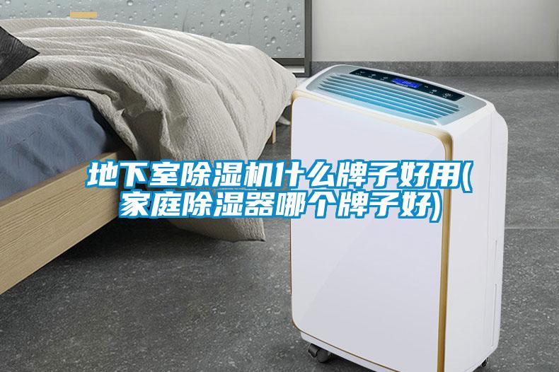 地下室91看片在线下载機什麽牌子好用(家庭91看片在线下载器哪個牌子好)