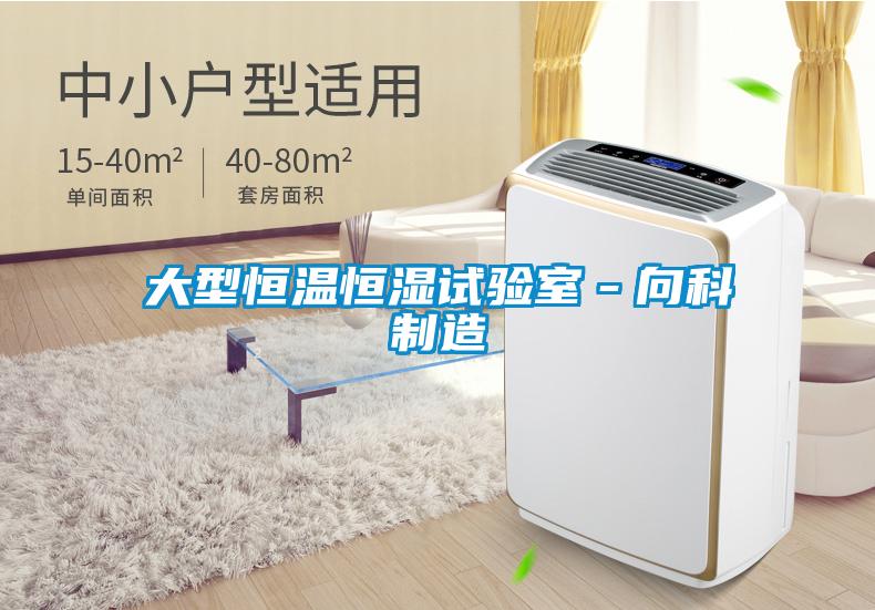 大型恒溫恒濕試驗室－向科製造