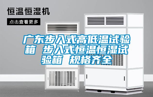 廣東步入式高低溫試驗箱 步入式恒溫恒濕試驗箱 規格齊全