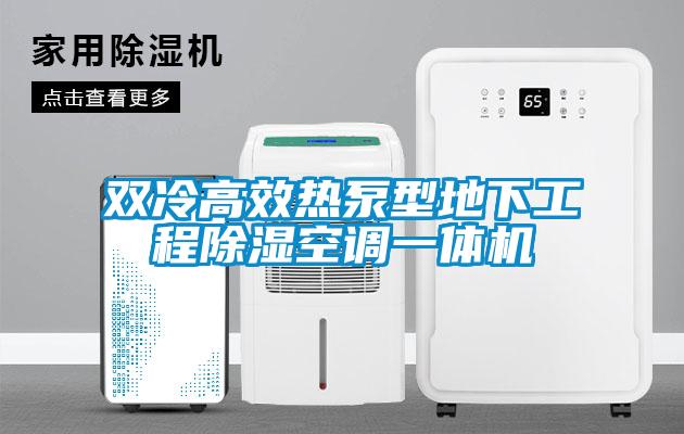 雙冷高效熱泵型地下工程91看片在线下载空調一體機