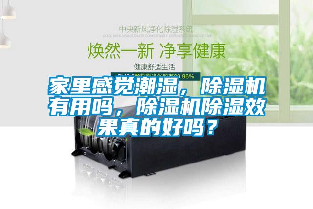 家裏感覺潮濕，91看片在线下载機有用嗎，91看片在线下载機91看片在线下载效果真的好嗎？