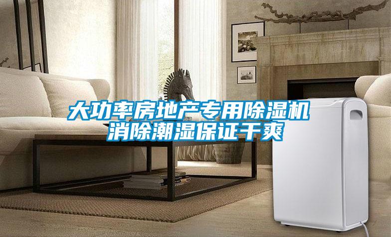 大功率房地產專用91看片在线下载機 消除潮濕保證幹爽