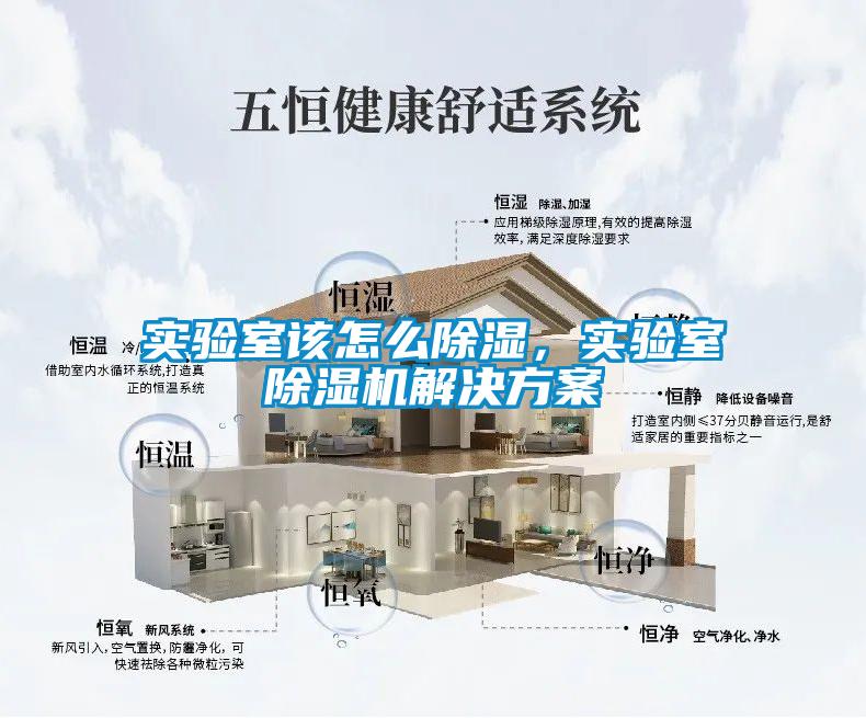 實驗室該怎麽91看片在线下载，實驗室91看片在线下载機解決免费看片下载