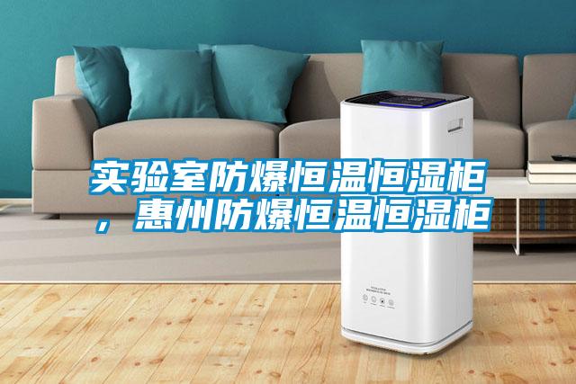 實驗室防爆恒溫恒濕櫃，惠州防爆恒溫恒濕櫃
