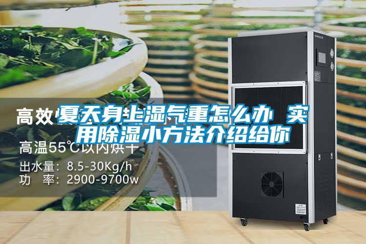 夏天身上濕氣重怎麽辦 實用91看片在线下载小方法介紹給你