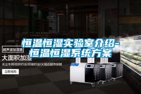 恒溫恒濕實驗室介紹-恒溫恒濕係統免费看片下载