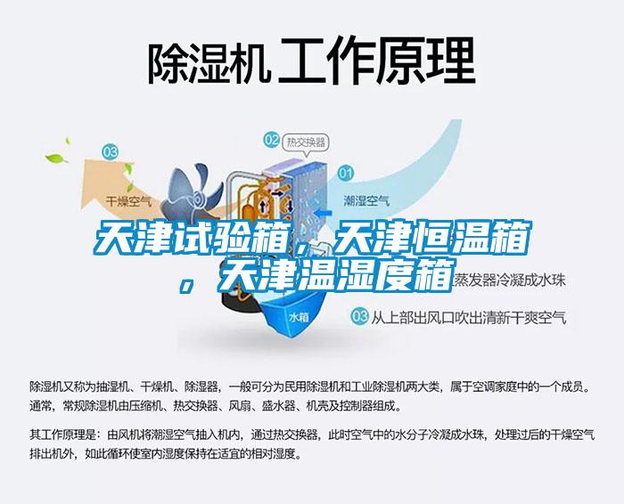 天津試驗箱，天津恒溫箱，天津溫濕度箱