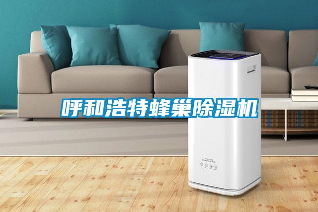 呼和浩特蜂巢91看片在线下载機