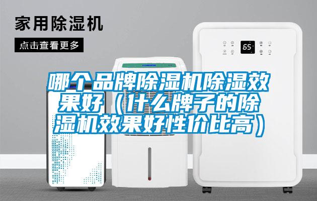 哪個品牌91看片在线下载機91看片在线下载效果好（什麽牌子的91看片在线下载機效果好性價比高）