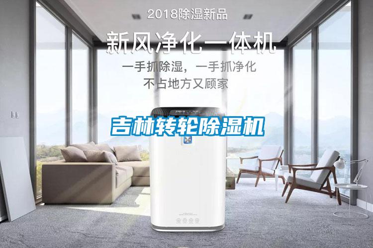 吉林轉輪91看片在线下载機