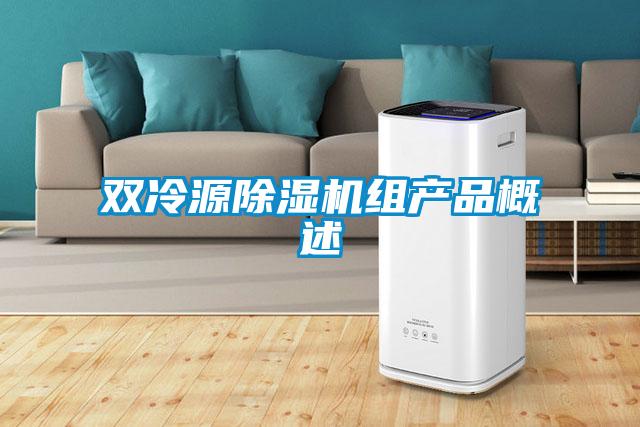 雙冷源91看片在线下载機組產品概述