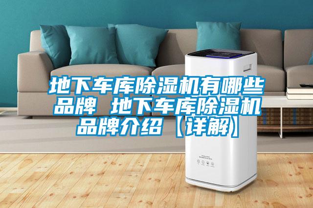 地下車庫91看片在线下载機有哪些品牌 地下車庫91看片在线下载機品牌介紹【詳解】