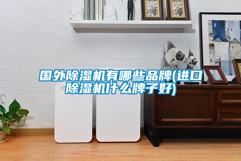 國外91看片在线下载機有哪些品牌(進口91看片在线下载機什麽牌子好)