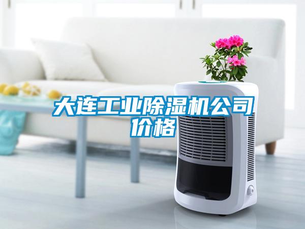 大連工業91看片在线下载機公司價格