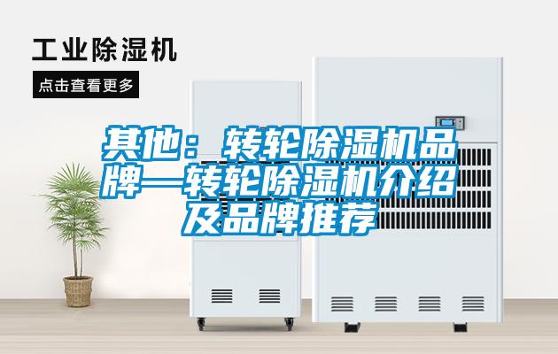 其他：轉輪91看片在线下载機品牌—轉輪91看片在线下载機介紹及品牌推薦