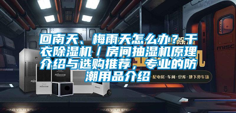 回南天、梅雨天怎麽辦？幹衣91看片在线下载機／房間抽濕機原理介紹與選購推薦，專業的防潮用品介紹