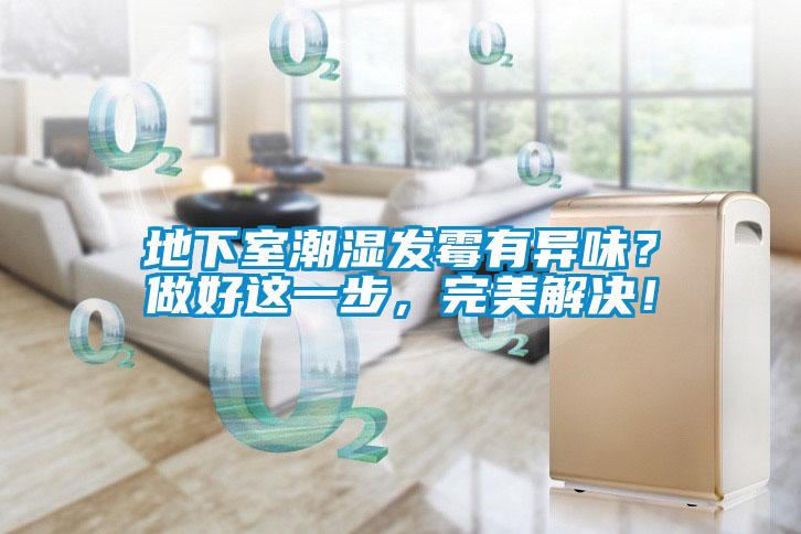 地下室潮濕發黴有異味？做好這一步，完美解決！