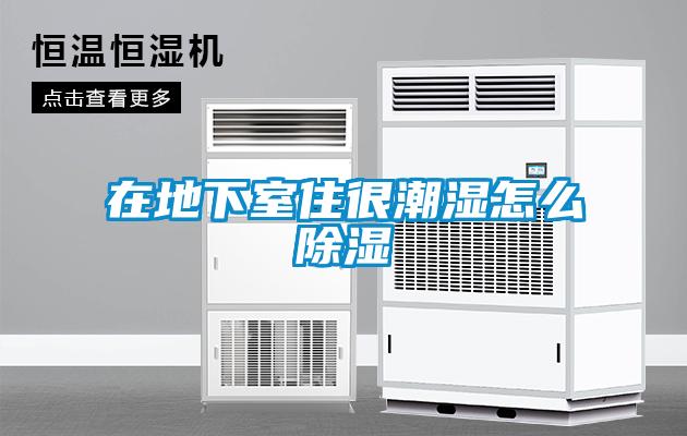 在地下室住很潮濕怎麽91看片在线下载