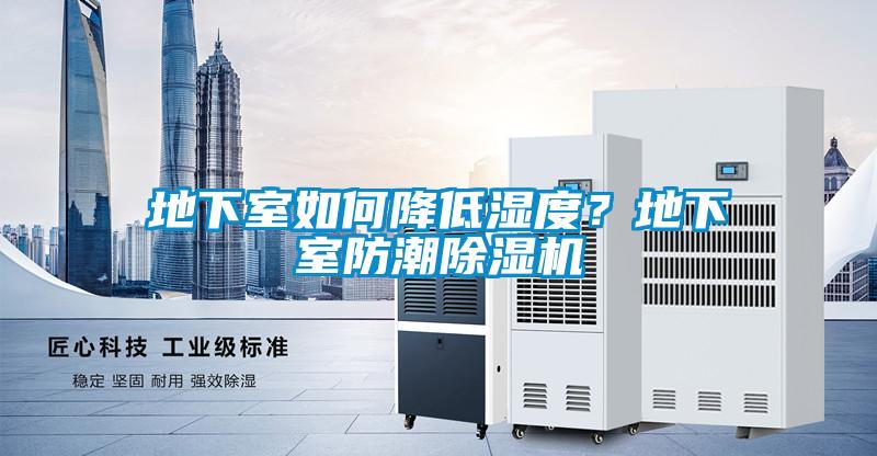 地下室如何降低濕度？地下室防潮91看片在线下载機