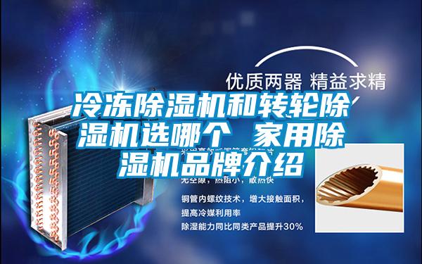 冷凍91看片在线下载機和轉輪91看片在线下载機選哪個 家用91看片在线下载機品牌介紹