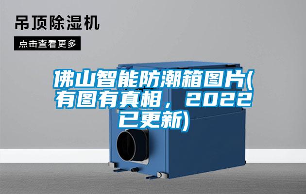佛山智能防潮箱圖片(有圖有真相，2022已更新)