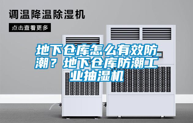 地下倉庫怎麽有效防潮？地下倉庫防潮工業抽濕機