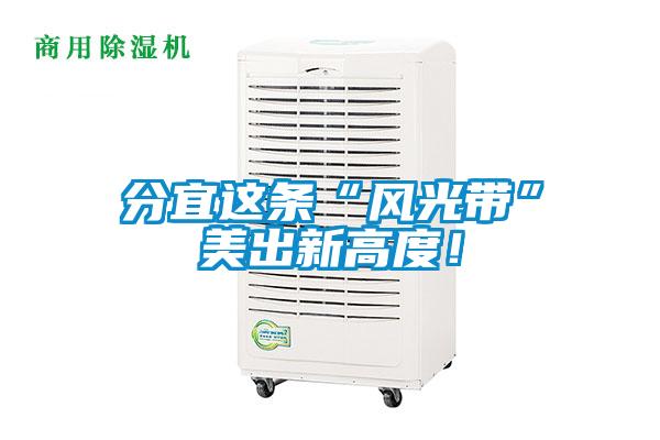 分宜這條“風光帶”美出新高度！