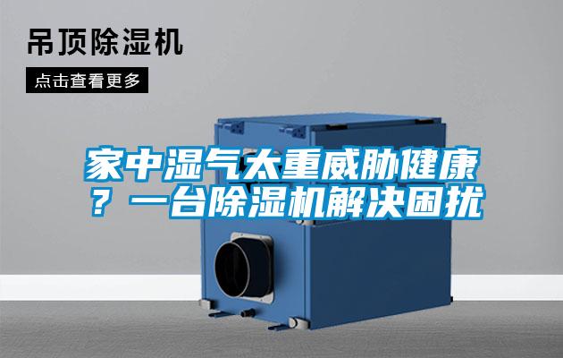 家中濕氣太重威脅健康？一台91看片在线下载機解決困擾