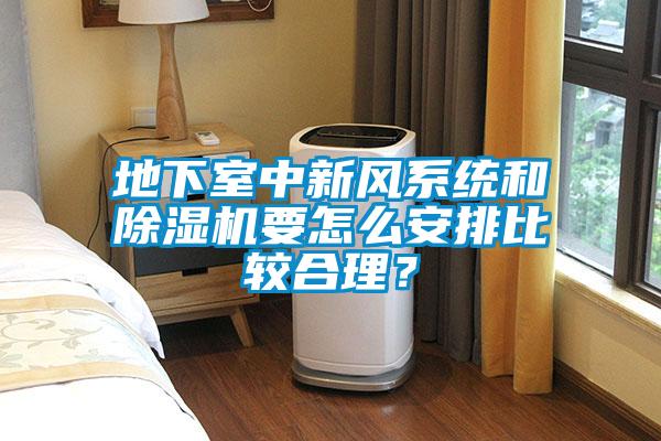 地下室中新風係統和91看片在线下载機要怎麽安排比較合理？