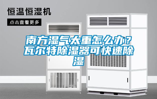 南方濕氣太重怎麽辦？瓦爾特91看片在线下载器可快速91看片在线下载
