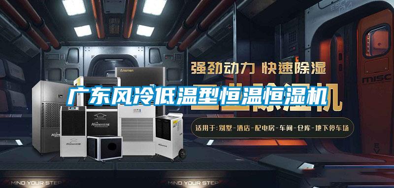 廣東風冷低溫型恒溫恒濕機