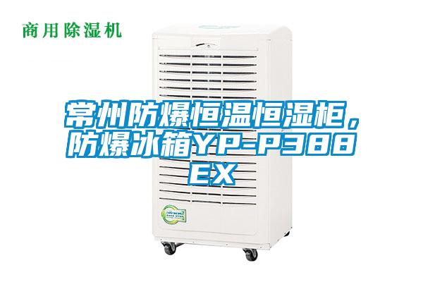 常州防爆恒溫恒濕櫃，防爆冰箱YP-P388EX