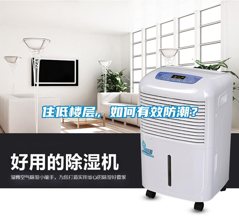 住低樓層，如何有效防潮？
