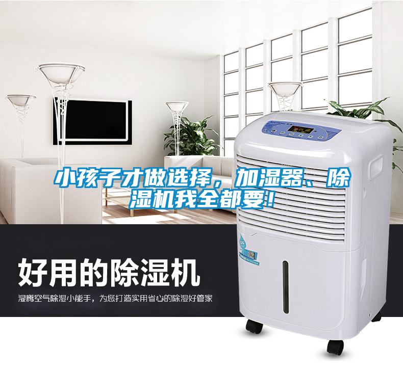 小孩子才做選擇，加濕器、91看片在线下载機我全都要！