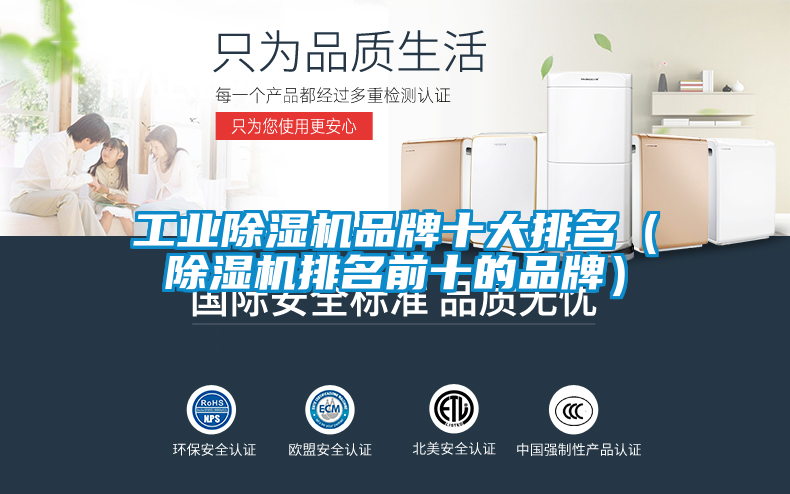 工業91看片在线下载機品牌十大排名（91看片在线下载機排名前十的品牌）