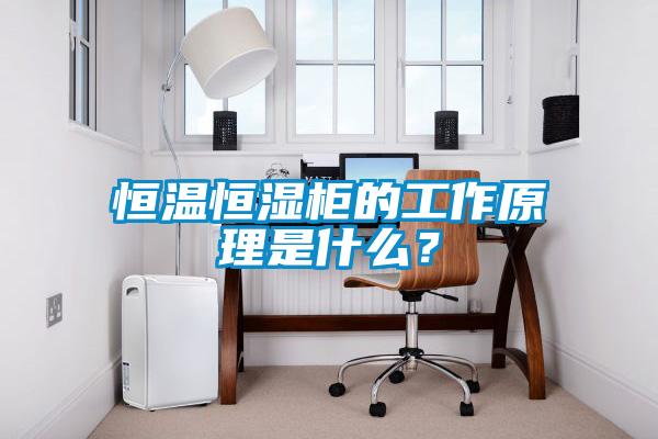 恒溫恒濕櫃的工作原理是什麽？