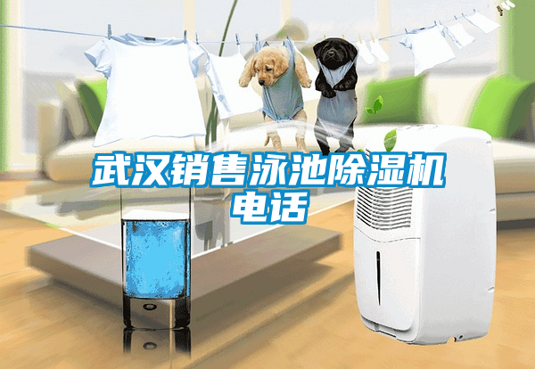 武漢銷售泳池91看片在线下载機電話