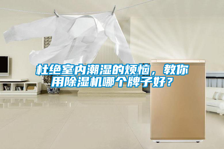 杜絕室內潮濕的煩惱，教你用91看片在线下载機哪個牌子好？