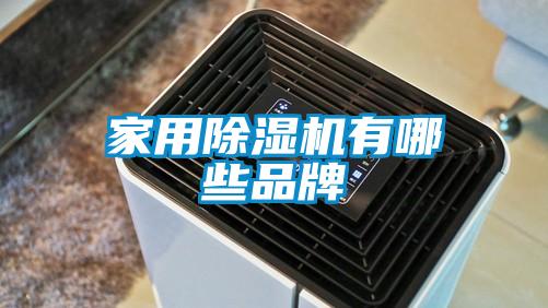 家用91看片在线下载機有哪些品牌