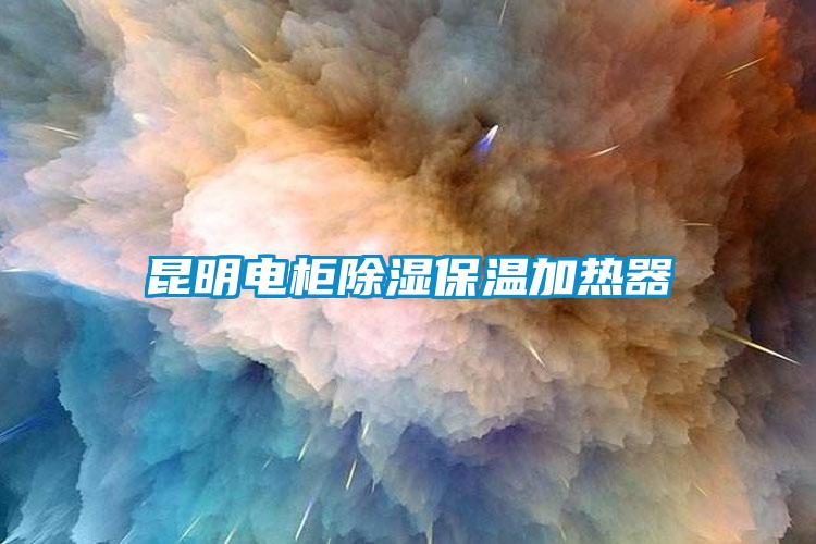 昆明電櫃91看片在线下载保溫加熱器
