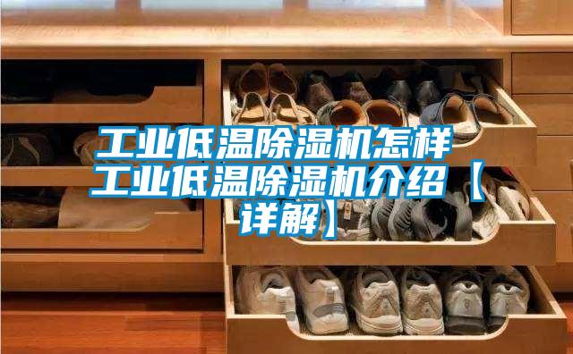 工業低溫91看片在线下载機怎樣 工業低溫91看片在线下载機介紹【詳解】