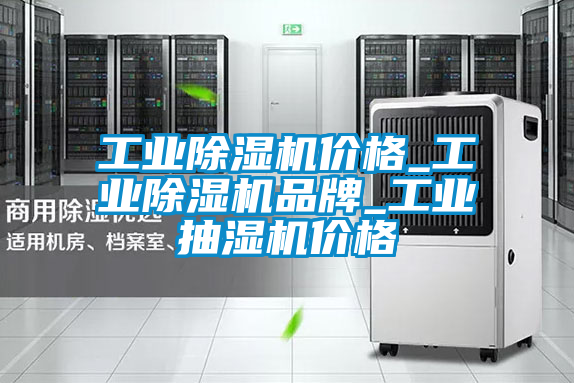 工業91看片在线下载機價格_工業91看片在线下载機品牌_工業抽濕機價格