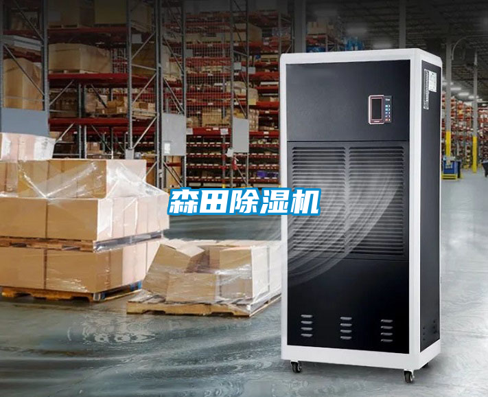森田91看片在线下载機