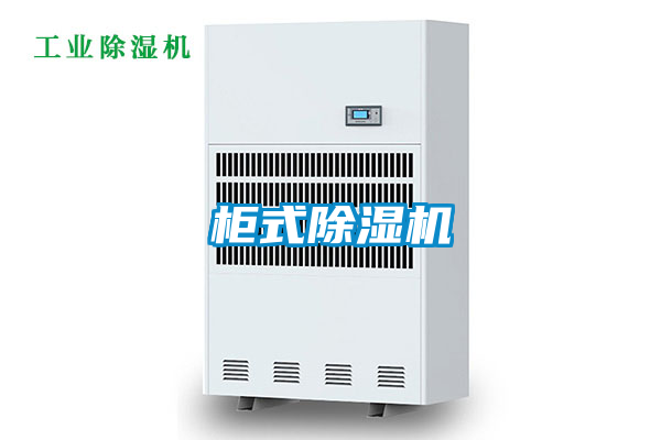 櫃式91看片在线下载機