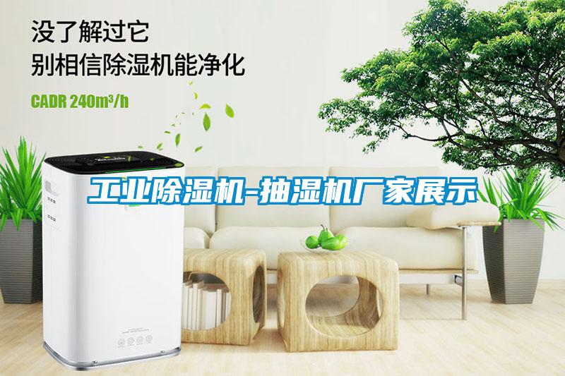 工業91看片在线下载機-抽濕機廠家展示
