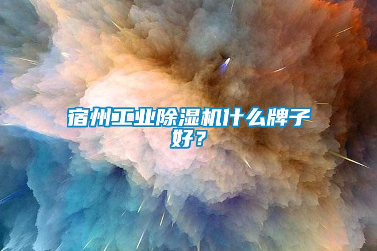 宿州工業91看片在线下载機什麽牌子好？