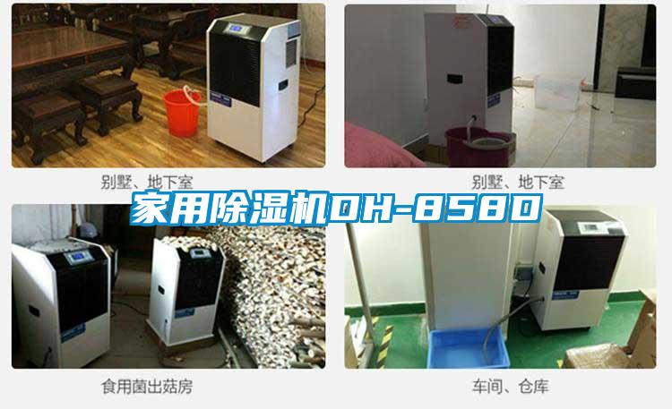 家用91看片在线下载機DH-858D